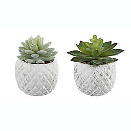 Flora Bunda Artificial Succulent Arrangement in Pineapple Cement Pot (Set of 2)
