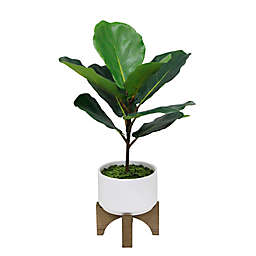 Flora Bunda 23-Inch Faux Fiddle Leaf with Ceramic Pot in White on Wood Stand