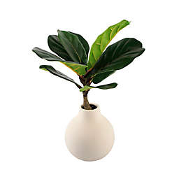 Flora Bunda 15.5-Inch Artificial Fig Leaf in Ceramic Vase in Cream