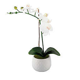 Flora Bunda 18-inch Artificial Real-Touch Orchid Arrangement In Ceramic Planter