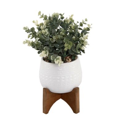 Flora Bunda 6Inch Aqeuduct Footed Ceramicfor Succulents Candies no Drainage Hole, no Mess Paper pins for Home Office Decorations Mauve 
