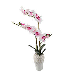 Flora Bunda 20-Inch Faux Real-Touch Orchid Arrangement with White Ceramic Vase