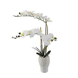 Flora Bunda 20-Inch Faux Real-Touch Orchid Arrangement in White with White Ceramic Vase