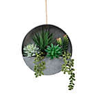 Alternate image 0 for Flora Bunda 8-Inch Artificial Mixed Succulent Arrangement with Galvanized Tin Hanging Pot