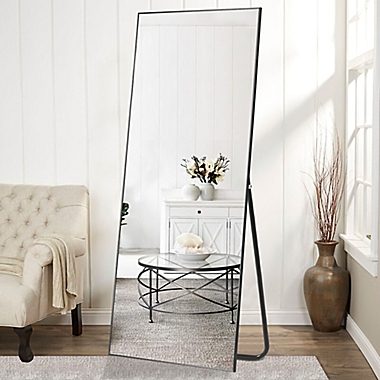 Neutype 71-Inch x 24-Inch Full Length Standing Floor Mirror in Black. View a larger version of this product image.