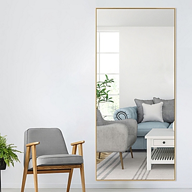 Neutype Full Length Standing Floor Mirror. View a larger version of this product image.