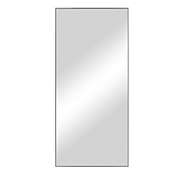 Neutype 71-Inch x 31-Inch Full Length Standing Floor Mirror in Grey/Silver