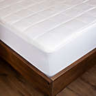Alternate image 0 for Rayon from Bamboo Queen  Mattress Pad