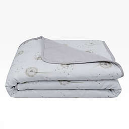 Living Textiles Dandelion Organic Cotton Muslin Stroller Blanket in Grey