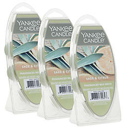Yankee Candle® Sage & Citrus 3-Pack Wax Melts