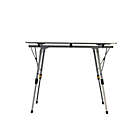 Alternate image 1 for TravelChair&reg; Company Grand Canyon Table in Silver