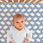 Alternate image 1 for The Peanutshell&trade; 2-Pack Little Rhino Fitted Crib Sheets in Blue/Grey