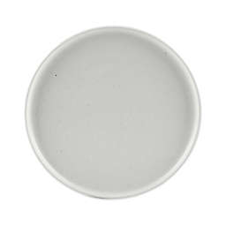 Our Table™ Landon Dinner Plate in Sea Salt