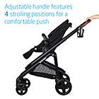 Alternate image 29 for Maxi-Cosi Tayla&trade; XP Travel System, with Coral&trade; XP