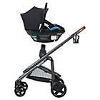 Alternate image 10 for Maxi-Cosi Tayla&trade; XP Travel System, with Coral&trade; XP