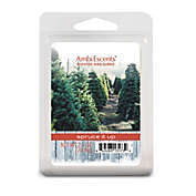 AmbiEscents&trade; Spruce it Up 6-Pack Wax Fragrance Cubes