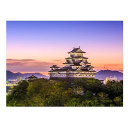 Wuundentoy USA Himeji Castle, Japan 500-Piece Jigsaw Puzzle