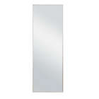 Alternate image 0 for Neutype Modern 59-Inch x 20-Inch Rectangular Floor Mirror with Stand in Silver