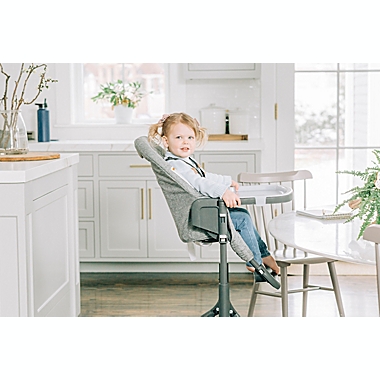 Baby Delight&reg; Levo Deluxe Adjustable High Chair in Charcoal Tweed. View a larger version of this product image.