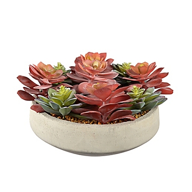 Studio 3B&trade; Succulent Centerpiece in 12-Inch Vessel. View a larger version of this product image.