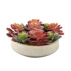 Alternate image 0 for Studio 3B&trade; Succulent Centerpiece in 12-Inch Vessel