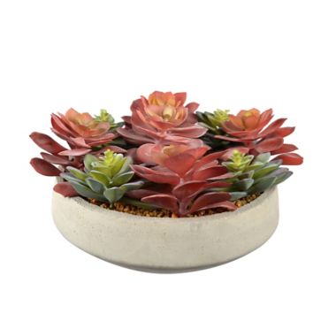Studio 3B&trade; Succulent Centerpiece in 12-Inch Vessel. View a larger version of this product image.