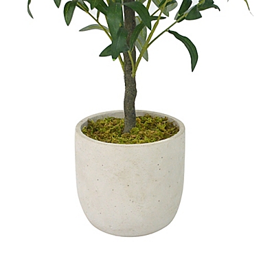Studio 3B&trade; 36-Inch Potted Plant. View a larger version of this product image.