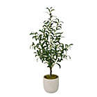 Alternate image 0 for Studio 3B&trade; 36-Inch Potted Plant