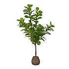 Alternate image 0 for Bee &amp; Willow&trade; 80-Inch Faux Fiddle Tree in Rattan Basket