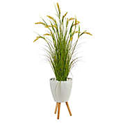 Nearly Natural 5-Foot Artificial Wheat Grain Plant in White Planter Stand