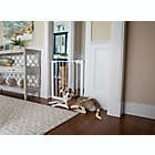 Alternate image 1 for Safety 1st&reg; Easy Install Gate Collection