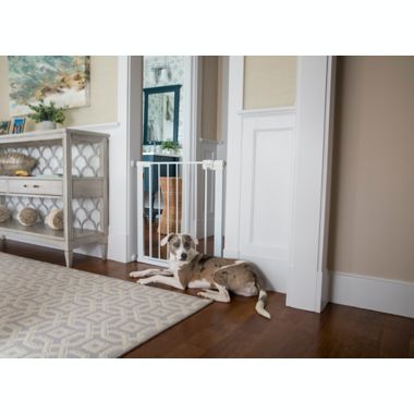 Safety 1st&reg; Easy Install Gate Collection. View a larger version of this product image.