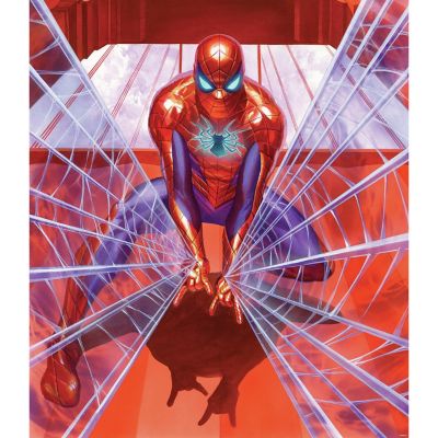 RoomMates&reg; Marvel&reg; Alex Ross Spider-Man 52-Inch x 60-Inch Tapestry
