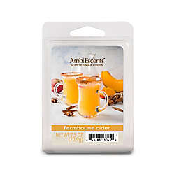 AmbiEscents™ Farmhouse Cider Scented Wax Cubes (Pack of 6)