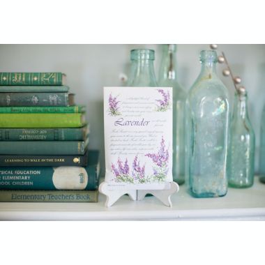 Fresh Scents&trade; Scent Packets in Lavender (Set of 3). View a larger version of this product image.