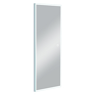 Neutype 64-Inch x 21-Inch LED Full-Length Rectangular Wall Mirror in Sliver. View a larger version of this product image.