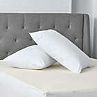 Alternate image 2 for Simply Essential&trade; Cotton Blend Standard/Queen Bed Pillow