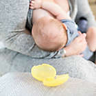 Alternate image 5 for Medela Contact&trade; 20mm 2-Pack Nipple Shield with Case