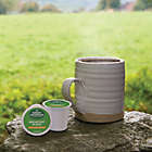 Alternate image 10 for Green Mountain Coffee&reg; Breakfast Blend Coffee Keurig&reg; K-Cup&reg; Pods 96-Count