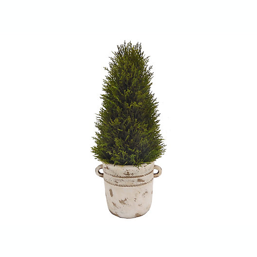 Alternate image 1 for Bee & Willow™ 24-Inch Cypress Topiary Tree in Cement Pot