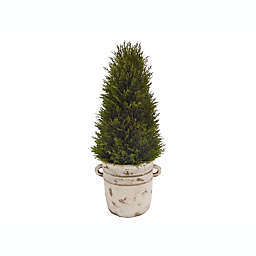 Bee &amp; Willow&trade; 24-Inch Cypress Topiary Tree in Cement Pot