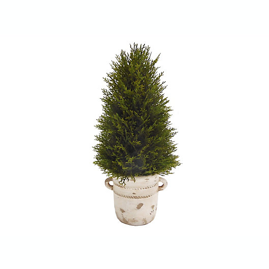 Alternate image 1 for Bee & Willow™ 20-Inch Cypress Topiary Tree in Cement Pot
