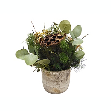 Bee &amp; Willow&trade; 13-Inch Arrangement in Cement Pot. View a larger version of this product image.