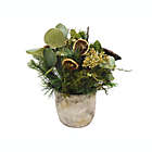 Alternate image 0 for Bee &amp; Willow&trade; 13-Inch Arrangement in Cement Pot