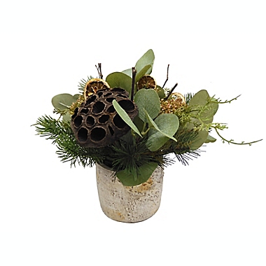 Bee &amp; Willow&trade; 9-Inch Arrangement in Cement Pot. View a larger version of this product image.