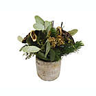 Alternate image 0 for Bee &amp; Willow&trade; 9-Inch Arrangement in Cement Pot