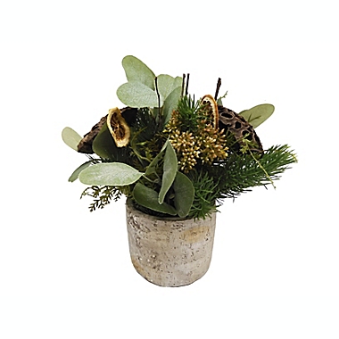 Bee &amp; Willow&trade; 9-Inch Arrangement in Cement Pot. View a larger version of this product image.
