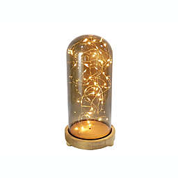 Bee & Willow™ 11-Inch Glass Cloche with LED Fairy Lights
