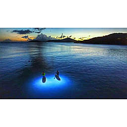 Glow Night Paddle Board Tour by Spur Experiences® (Culebra, Puerto Rico)