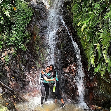 Yunque Rainforest and Bio Bay Combo Tour by Spur Experiences® (Puerto Rico) | Bed Bath & Beyond